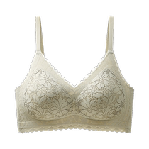 Catman underwear for women with small breasts push-up thin summer anti-sagging wire-free traceless beautiful vest-style silk bra