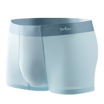 Catman Ice Silk Mens Underwear Boys Summer Seamless Sports Breathable Shorts Boxer Bottoms Antibacterial Boxer Briefs