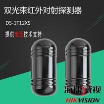 Hikvision two-beam infrared intrusion detector 40 meters 122S spot
