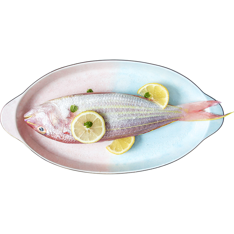 Ins web celebrity steamed fish dishes home new rectangle large creative Nordic light dishes ceramic dish of key-2 luxury