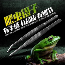 20CM CLIMBING PET FEEDING TWEEZERS CHAMELEON HORNED FROG SCORPION SPIDER CENTIPEDE BAO WEN PALACE GUARD MANED LION CLIMBING DAILY NECESSITIES