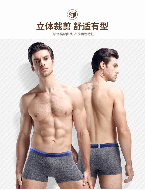 Nam Cực đồ lót nam cotton boxer thanh niên eo giữa gợi cảm bốn góc quần lớn quần short thủy triều quần chip