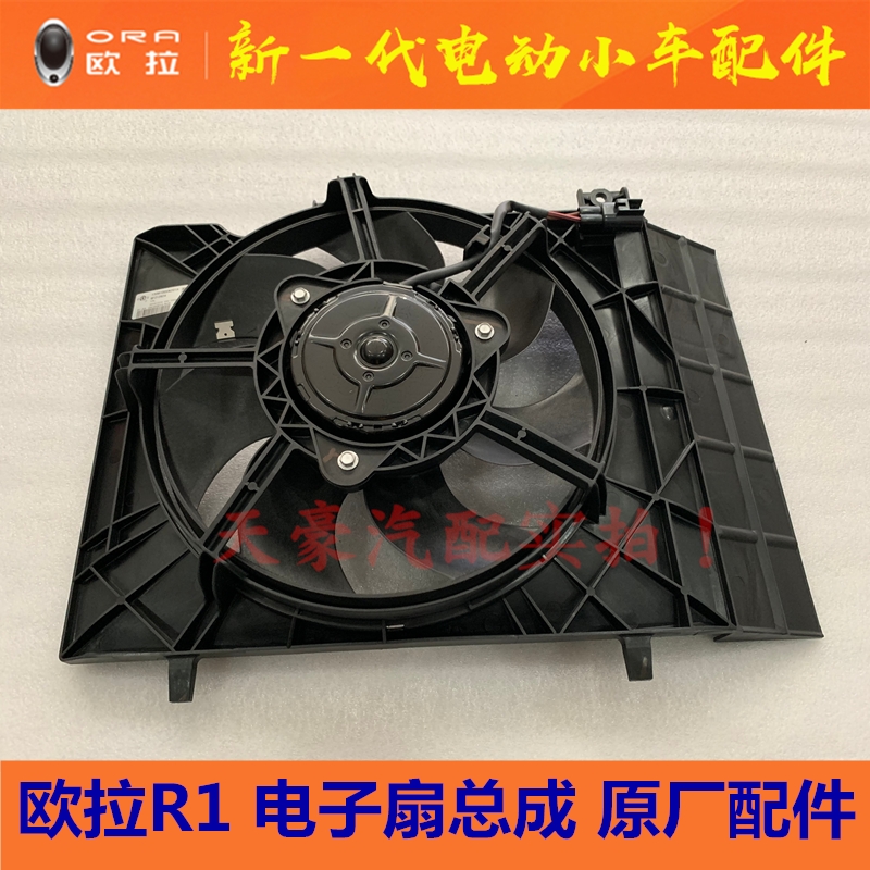 Suitable for Great Wall Eulla R1 tank Electronic fan assembly cooling fan set wind cover fan ring original factory accessories
