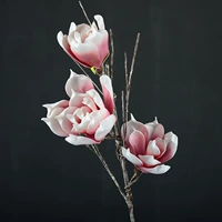 Фиолетовый красный пион