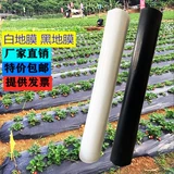 Сельскохозяйственный утепленный защитный увлажняющий прозрачный пластиковый термос