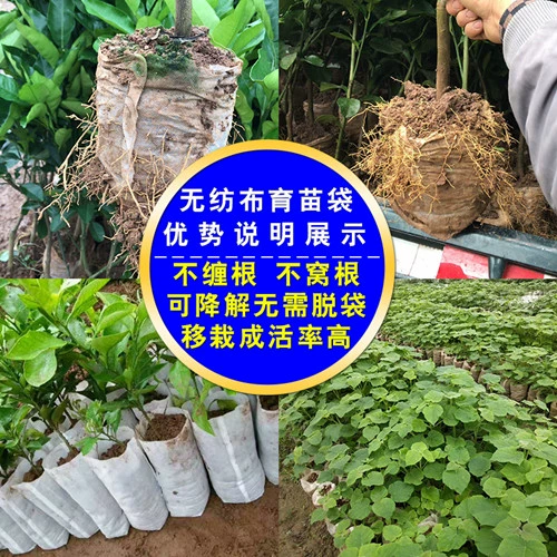 Одноразовый белый цветочный горшок из нетканого материала, увеличенная толщина