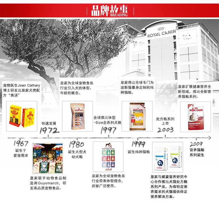 Thức ăn cho mèo hoàng gia trong nhà thành thức ăn cho mèo Royal i27 cho mèo ăn thức ăn cho mèo 400x4 thức ăn cho mèo ngắn của Anh thành mèo - Cat Staples thức ăn cho mèo minino