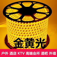 Светодиодная лампа с золотисто -желтым светом 2835 Три ряда Neon Light Strip Hotel Ktv Hotel Outdoor Водонепроницаемая золотая желтая линия