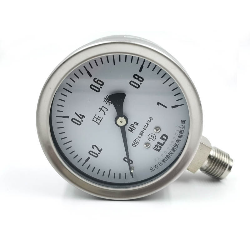 BLD high quality Beijing Bridi radial stainless steel pressure gauge YTF-100H YTH-100 AO 521