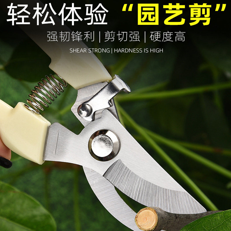 Pruning fruit tree pruning scissors gardening garden flower pruning shears household powerful scissors artifact flower pruning pruning