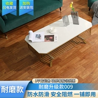 Устойчивый к износу модели модели-009- [5 квадратных метров]