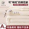 Xinjiang cotton quilt spring and autumn quilt thickened warm winter quilt quilt core single and double quilt summer quilt student dormitory