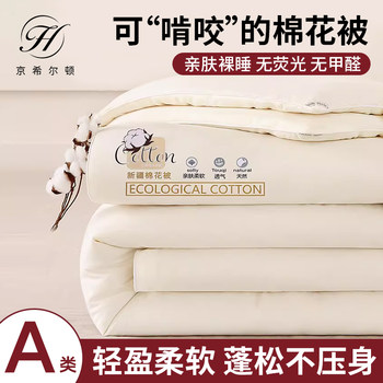 Xinjiang cotton quilt spring and autumn quilt thickened warm winter quilt quilt core single and double quilt summer quilt student dormitory