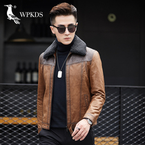 Haining mens middle-aged lapel casual sheep jacket short middle-aged leather jacket mens leather father jacket
