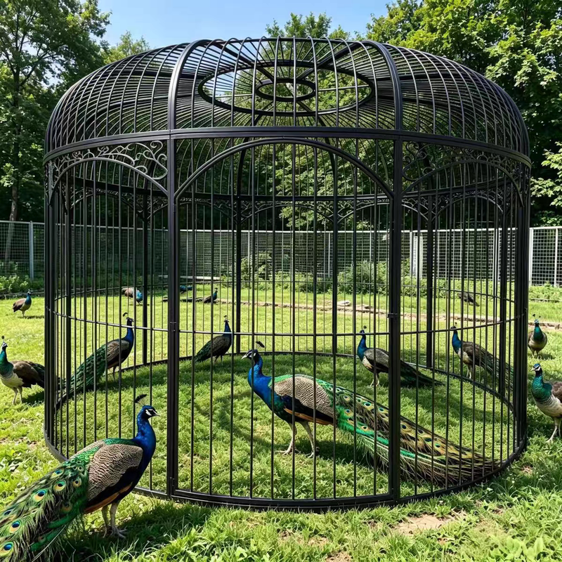 New Style Wrought Iron Extra-Large Bird Cage with Mesh and Carved Flowers, Parrot Cage, Outdoor Large Giant Bird Cage, Peacock Bird Cage New Style Wrought Iron Extra-Large Bird Cage with Mesh and Carved Flowers, Parrot Cage, Outdoor Large Giant Bird Cage, Peacock Bird Cage