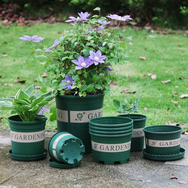 Товары от 老花农场家加盟店