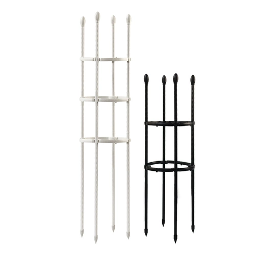 Садовые растения, поднимающиеся по розы роза Роза Роза Роза Комбинированная цветочная полка