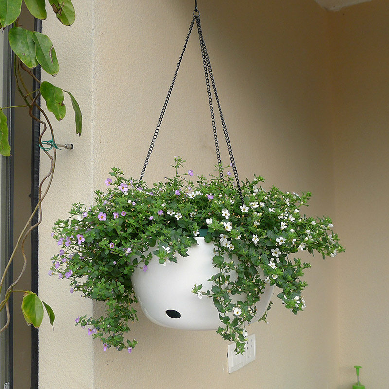 Balcony Hanging Basket flowerpots Creative water storage Hanging basin Gold Ge Hanging Hanging Basin Large white Hanging Horticultural Hanging Basin
