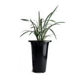 老花农 Черный пластиковый большой цветочный горшок, орхидея, увеличенная толщина