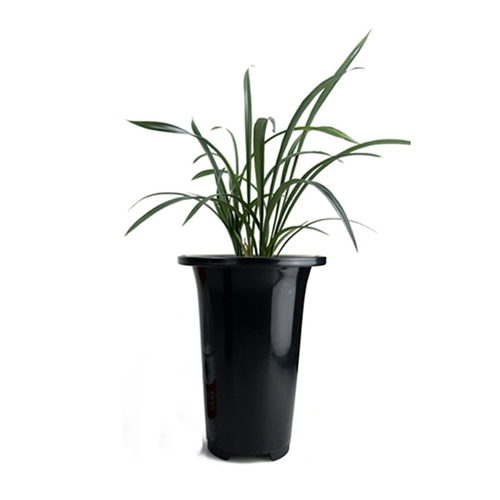 老花农 Черный пластиковый большой цветочный горшок, орхидея, увеличенная толщина