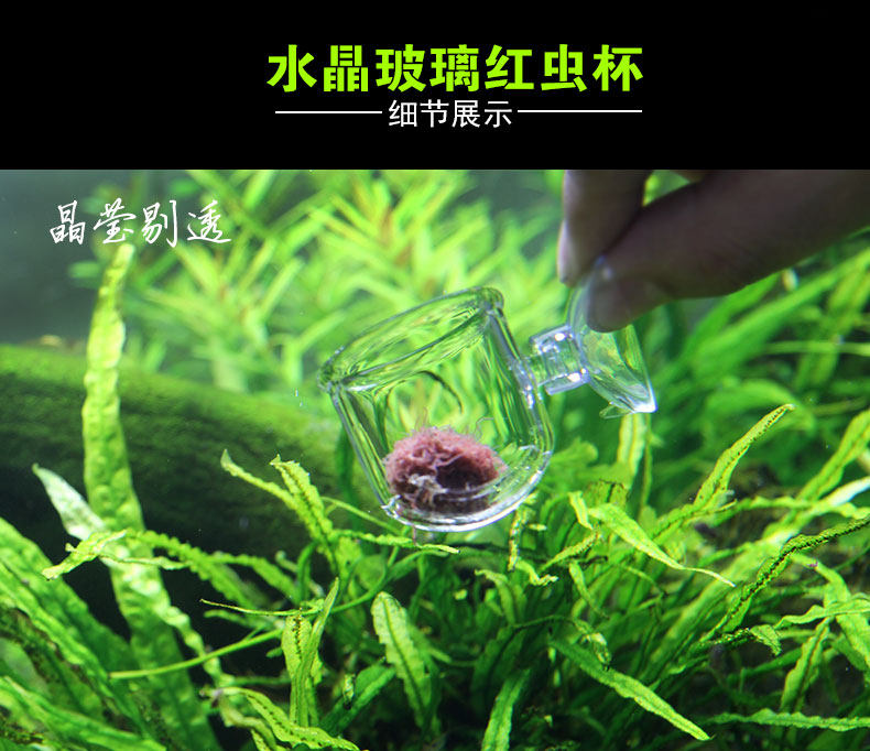 Red Worm Cup Feeding Machine Glass Acrylic Bar Hole Round Hole Tropical Ornamental Fish Shrimp Cylinder Jump automatic non-electromotion