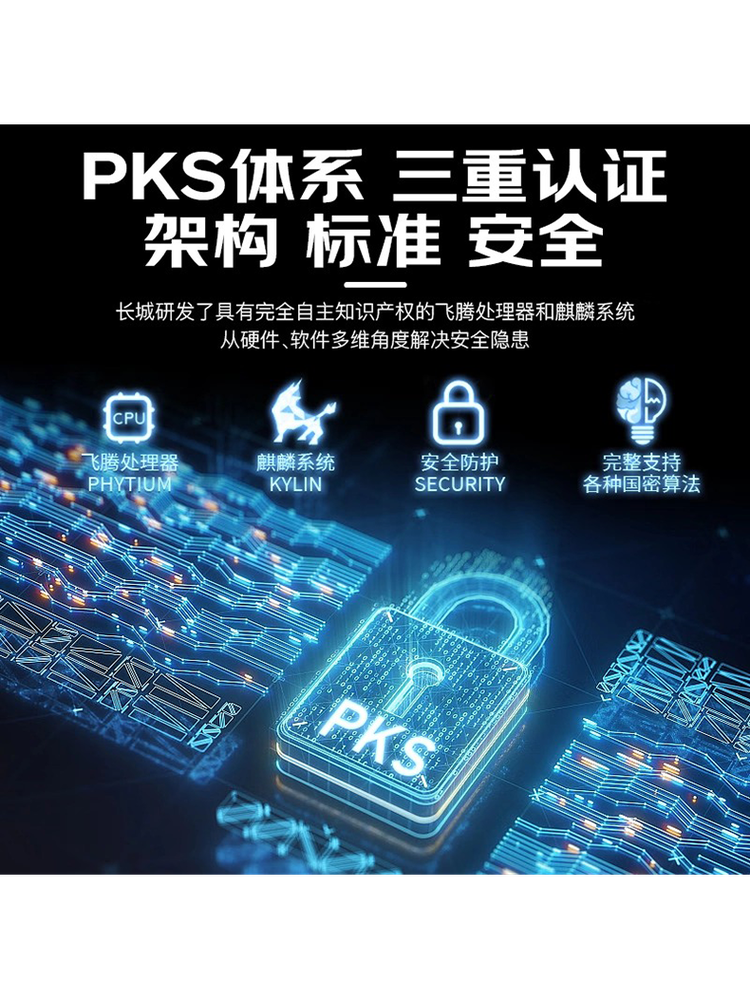 Asus Domestic Computer Server Arm Architecture Processor Longxin 3A6000 3C6000 Workstation Galaxy Kirin V10 System Xianma