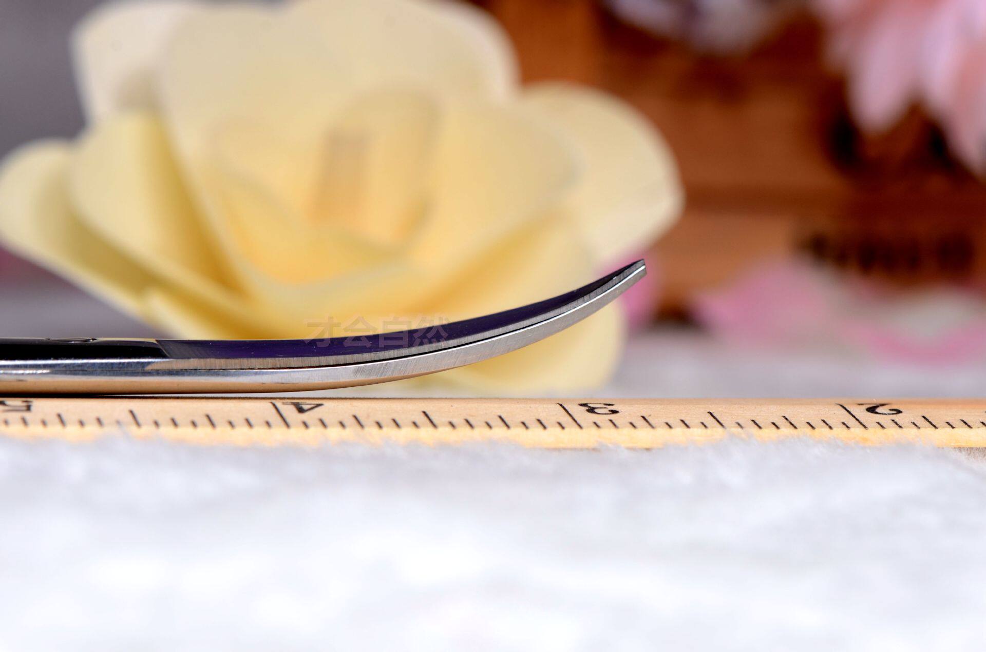 DSC_0284_副本_副本