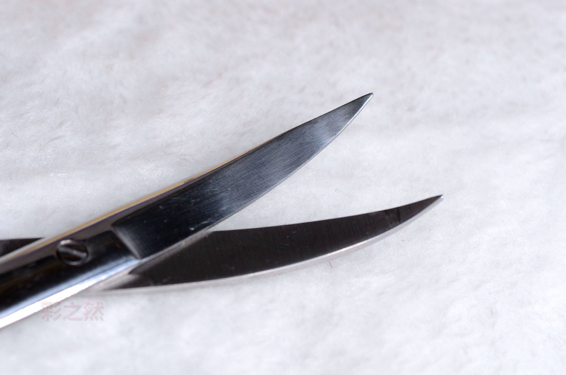 DSC_0290_副本_副本