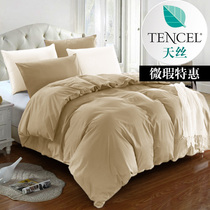 Microflaw Tencel quilt cover quilt cover Lightweight and soft natural Tencel fiber zipper closure bedding