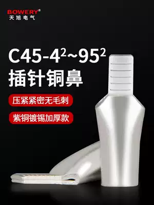 C45 duckbill nose copper Terminal 6 10 16 25 95 square terminal DZ47 circuit breaker plug copper small black clip