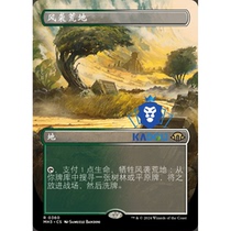 Magic: The Gathering Modern Horizons 3 MH3 360 Different Art Windswept Wasteland