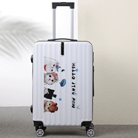 Красивый белый мульти -боловый кот