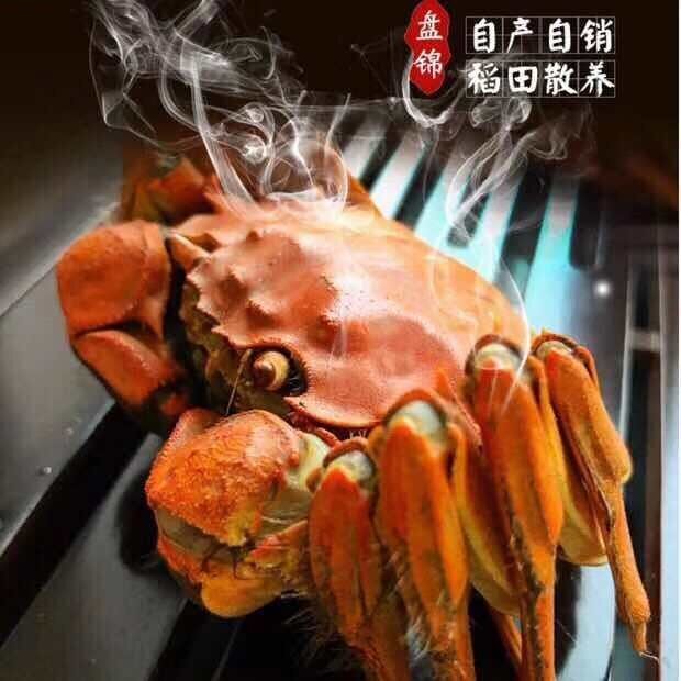 盘锦河蟹精品店的LOGO