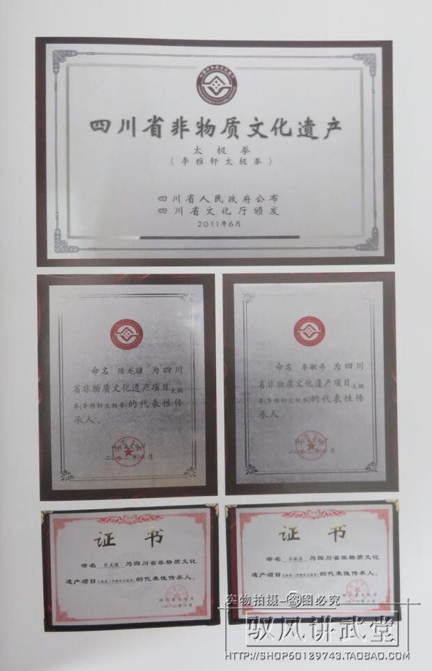 太极枪中的“霸王枪后戳”:传统武术与现代创新的融合-更多武术装备-淘宝百科网