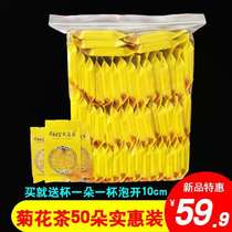 Kaifeng Chrysanthemum Tea Golden silk Imperial Chrysanthemum Qinghe premium rhubarb chrysanthemum a cup of chrysanthemum tea bulk 50 pieces