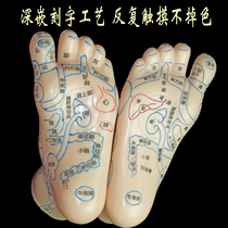 Lettering Foot reflexology Foot foot Foot meridian points Reflexology area map Massage massage model Foot acupressure tool