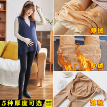 Pregnant womens pants for autumn and winter one-piece pantyhose for outer wear spring and autumn thin foot-stepping stockings autumn and winter velvet thickened bottoming socks