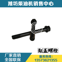 Weifang engine Weichai Huafeng R6105 East China Huakun Kaidong diesel engine parts original cylinder head bolts