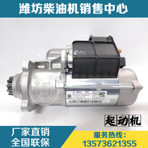 Weichai power WD615 WP10 engine diesel engine original parts motor 612600090561 starter