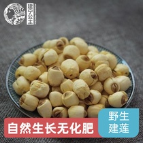 Princess Jianning grows her own fertilizer-free Jianning white Lotus Seed 500g