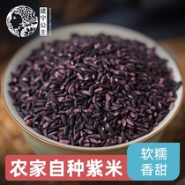 New rice Fujian farmer non-Mojiang purple rice Purple glutinous rice Blood glutinous rice five grains 500g