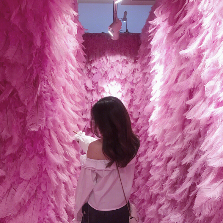 Net Red Feather Wall Pink Ostrich Hair Photo Feather Background Wall Wedding Road Decorations Decorative Feather Props