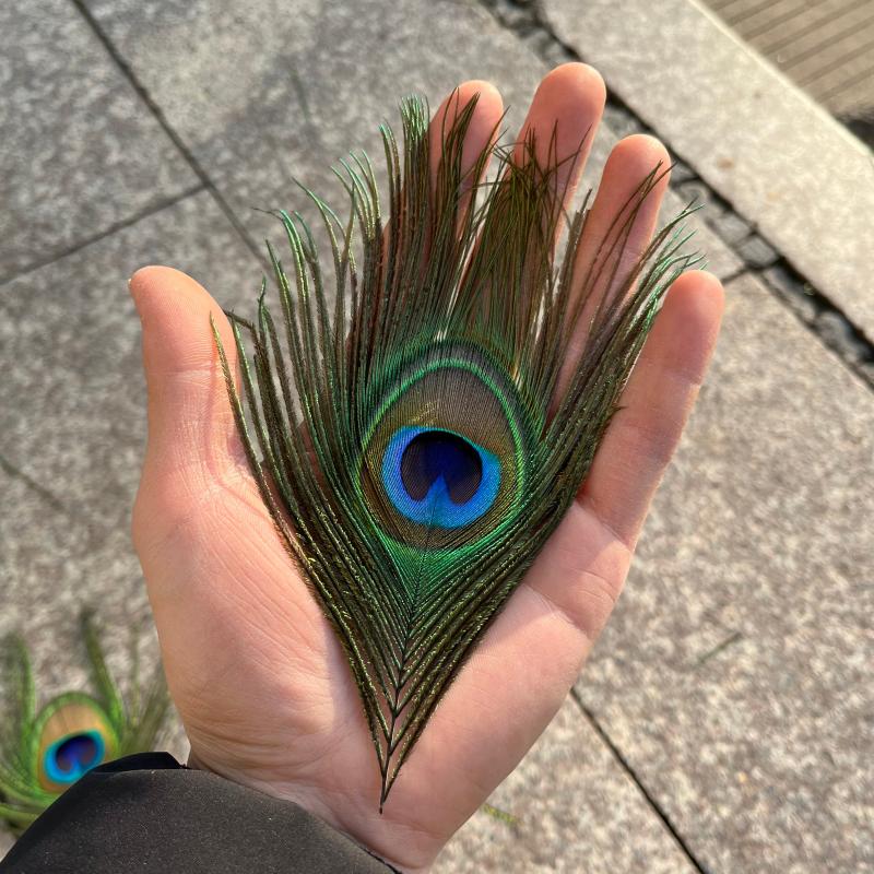 Natural Peacock Feather Eyes, Peacock Feather Fans, Handmade DIY Accessories, Feather Headwear, Ear-Picking Feather Dream Catcher
