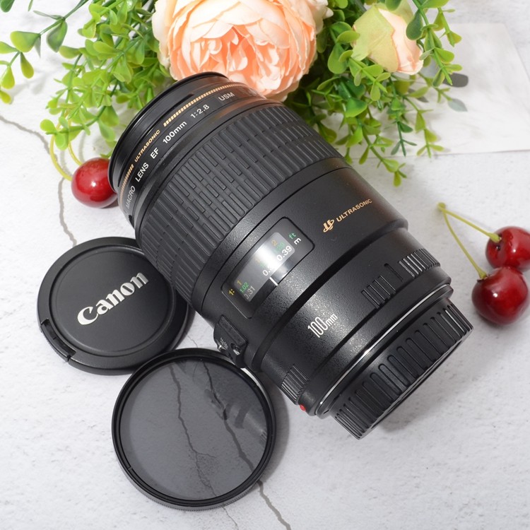 Canon Canon EF 100 2 8 MACRO Microdistance lens 100 Micro 100mm f2 8 USM L