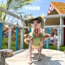 YMDR hairless cat Devon cat small fragrance outdoor traction suit sun hat lace chest and back skirt pure cotton vest