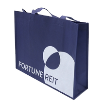 Customized non-woven bags custom devils sticky handbags customized non-woven eco-friendly bags customized promotional bags exhibition gift bags