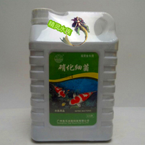 Yule nitrifying bacteria 2 5L fish tank aquarium supplies fish pond oversized real suit