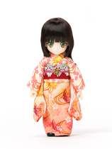 Jubilee] OB obitsu ob11 doll Miconic MION] First play Orioles color