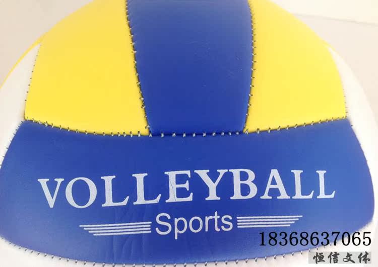 Ballon de volley - Ref 2008689 Image 13