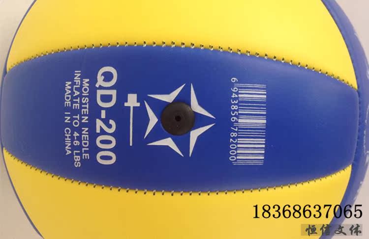 Ballon de volley - Ref 2008689 Image 14